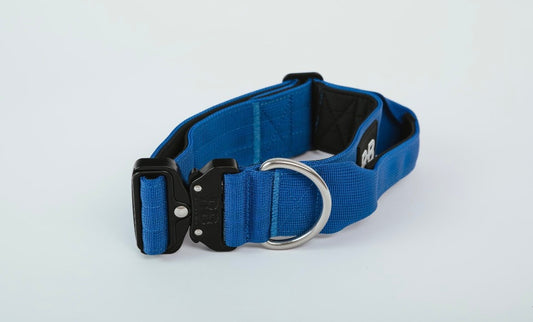 Ranger Collar Azul