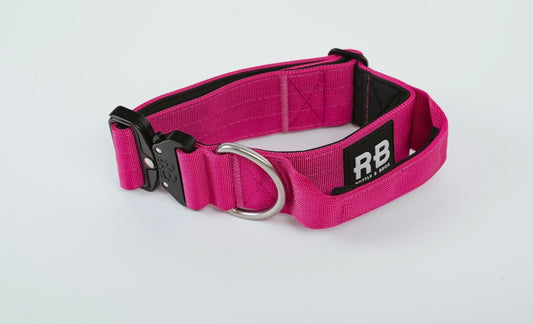 Ranger Collar Fucsia