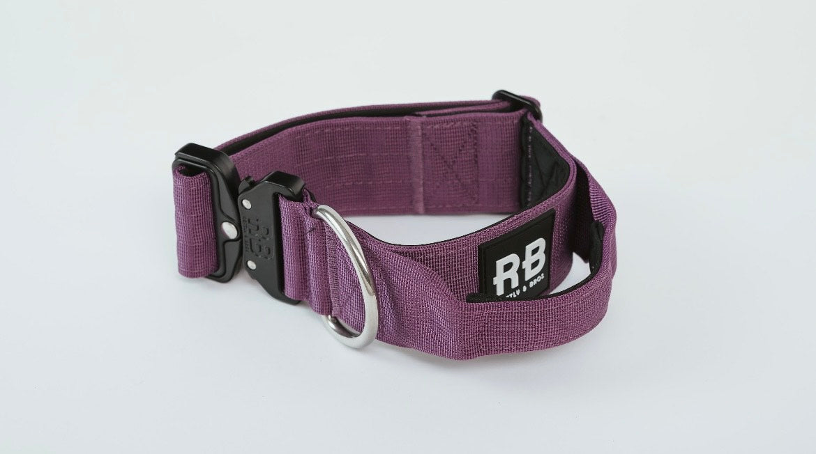 Ranger Collar Morado
