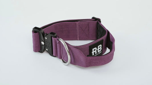Ranger Collar Morado