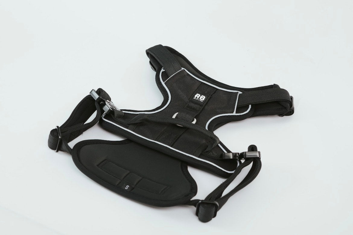 Enjoyable Harness Negro