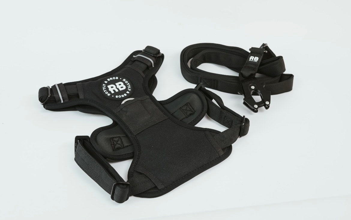 Pack Joy ( Arnes color a elección + Ranger leash negra)