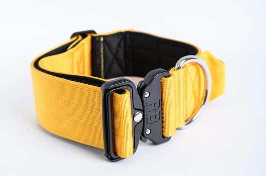 Ranger Collar Amarillo