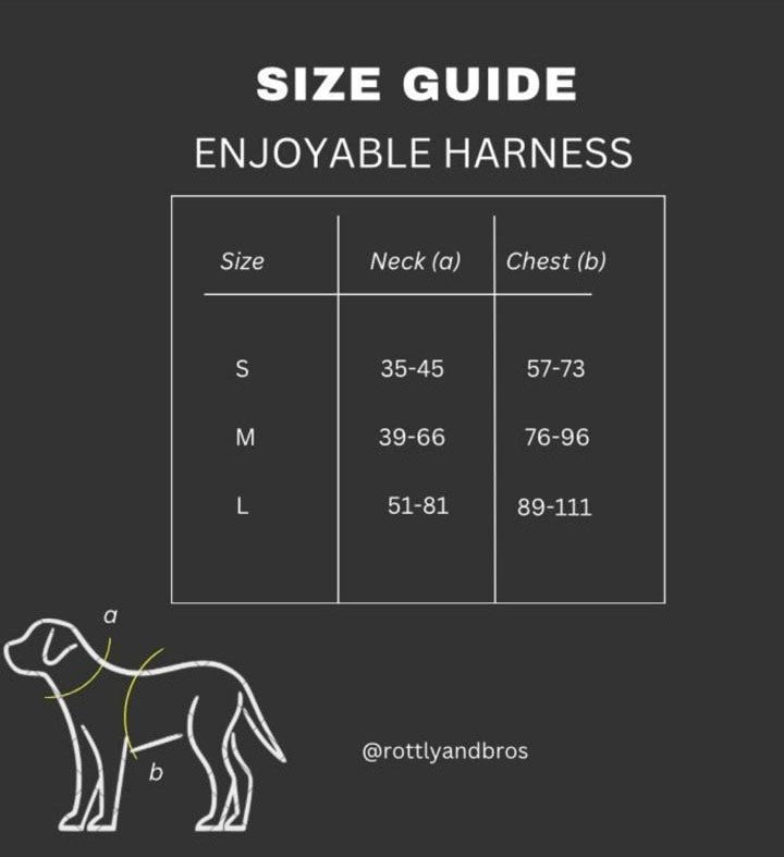 Pack Joy Negro ( Ranger collar negro + Enjoyable Harness negro )