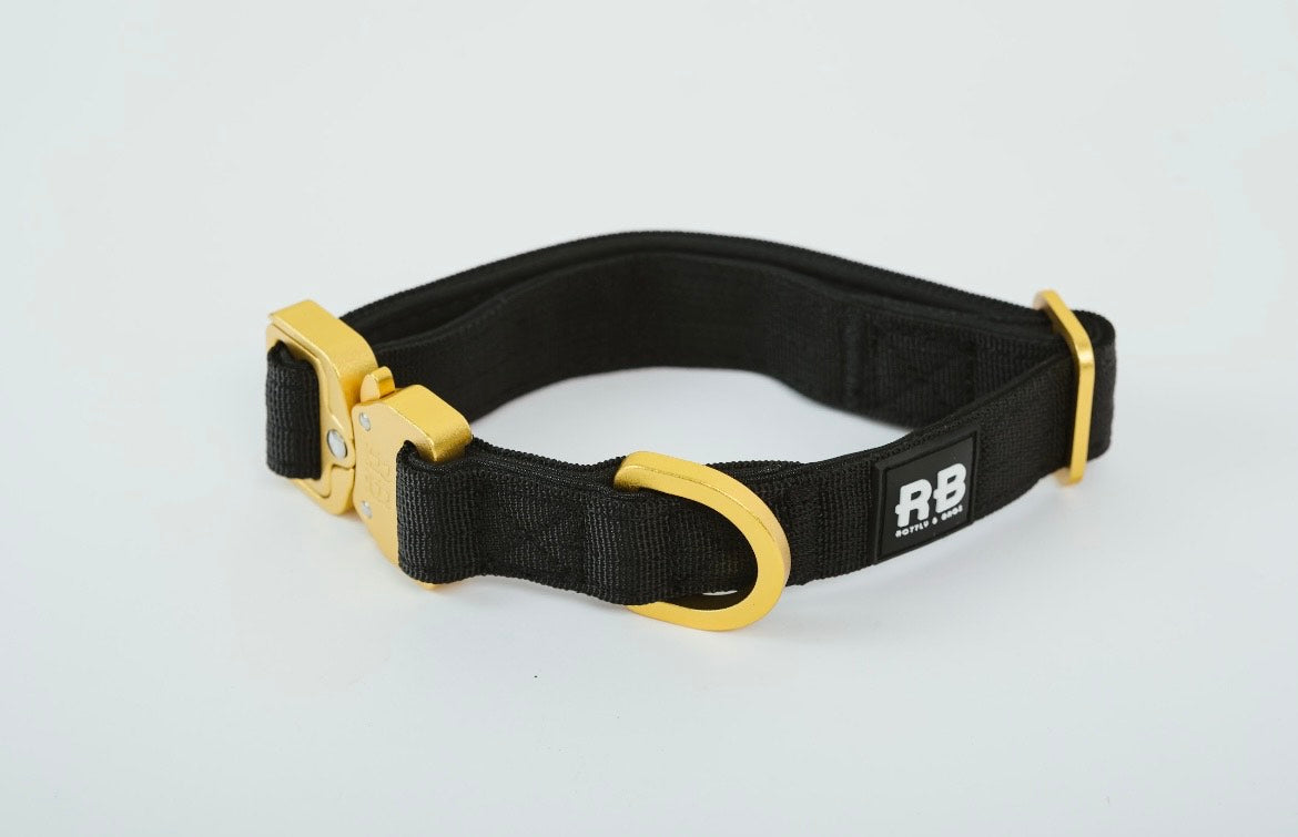 Slim Ranger Collar Negro