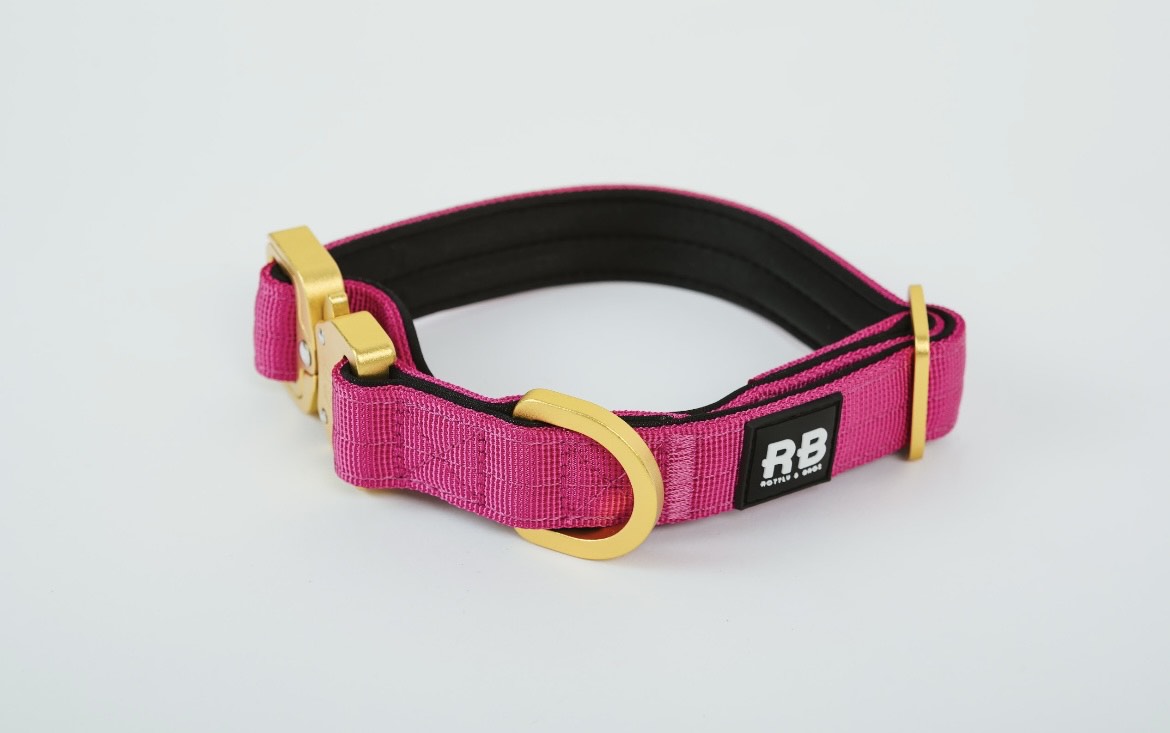 Slim Ranger Collar Fucsia
