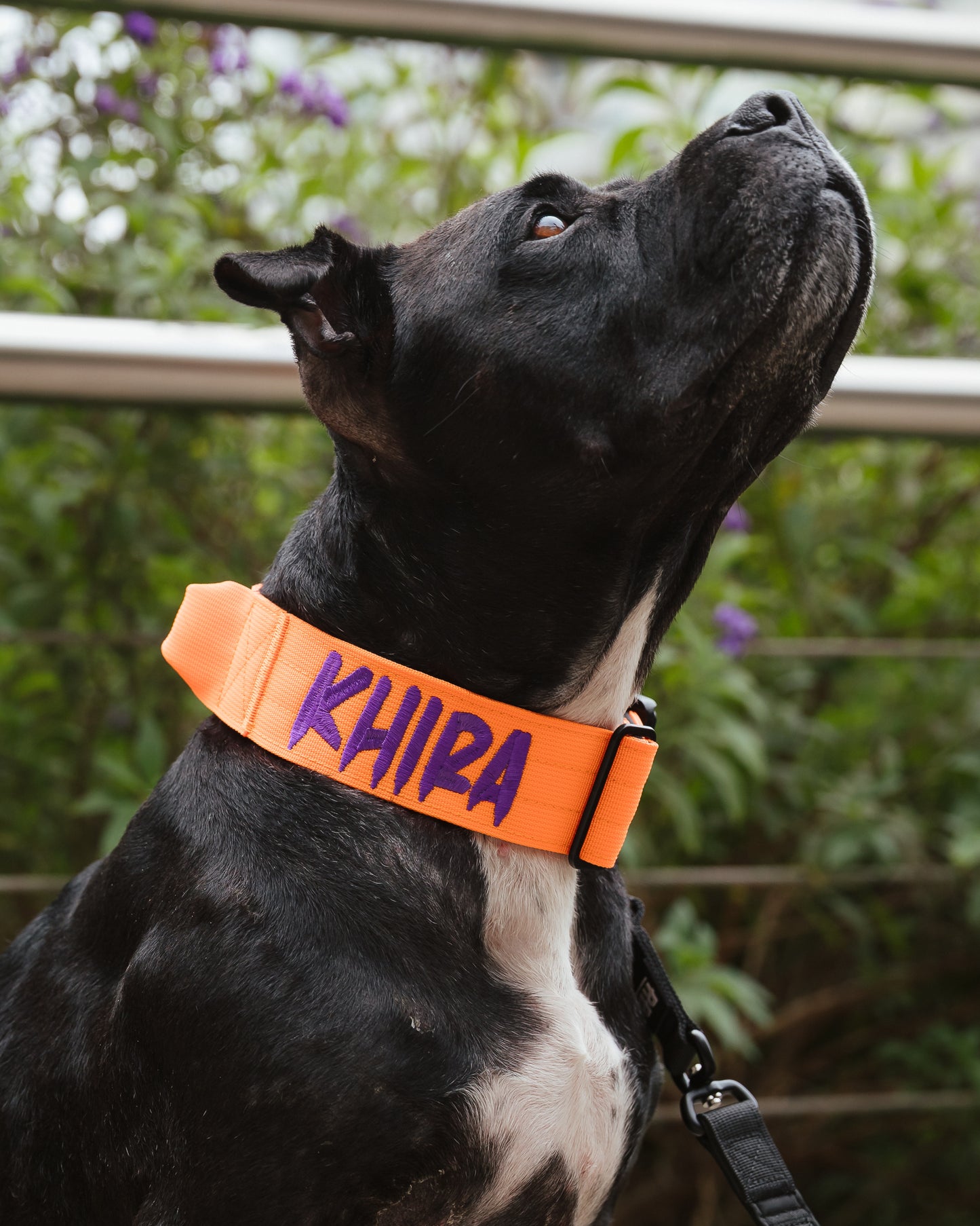 COLLAR RANGER NARANJA NEÓN