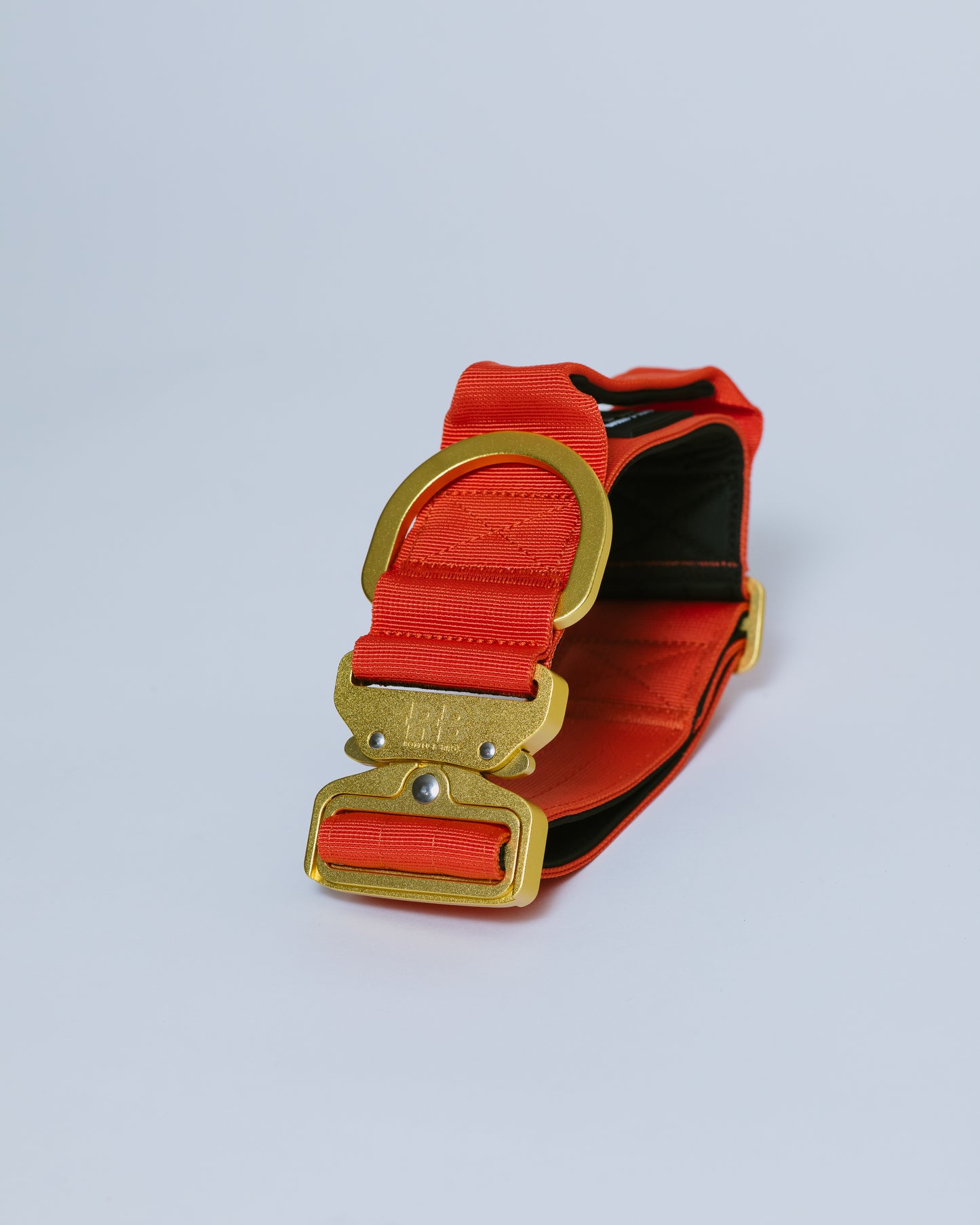 Ranger Collar 2.0 naranja