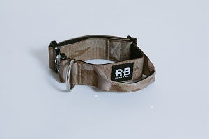 RANGER COLLAR CAMO