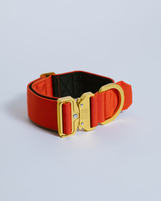Ranger Collar 2.0 naranja