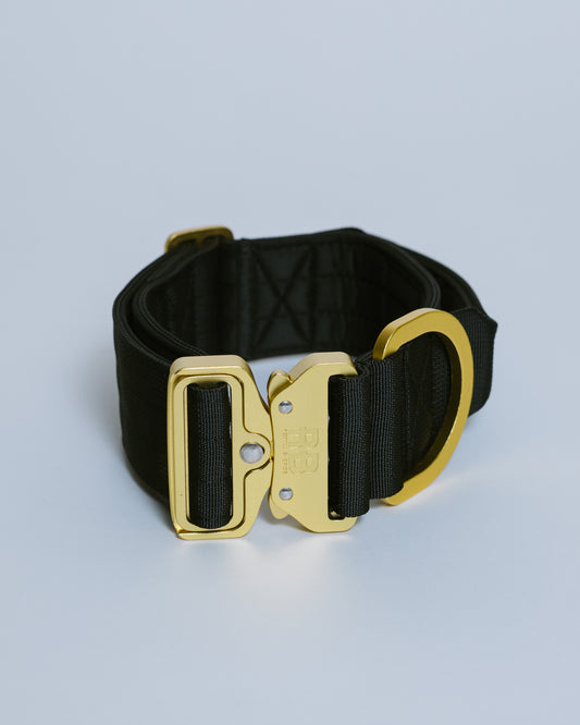 Ranger Collar 2.0 Negro