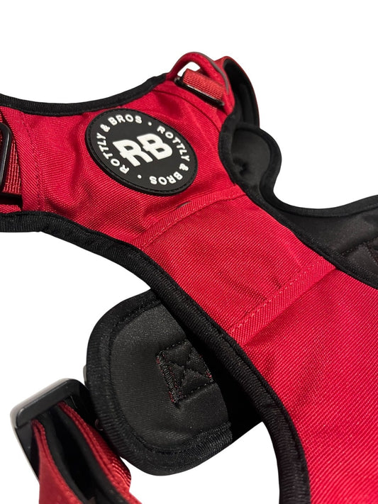 Enjoyable Harness Rojo