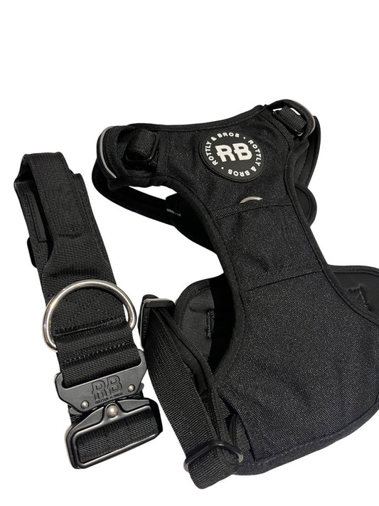 Pack Joy Negro ( Ranger collar negro + Enjoyable Harness negro )