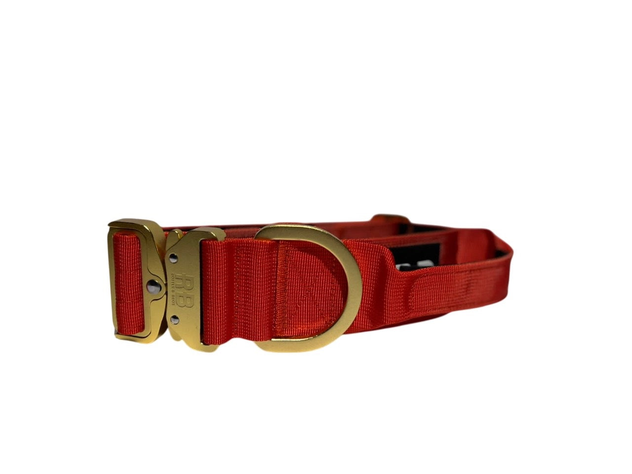 Ranger Collar 2.0 naranja