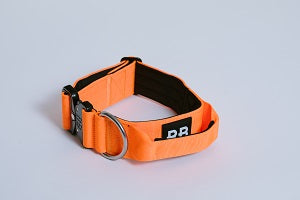 COLLAR RANGER NARANJA NEÓN